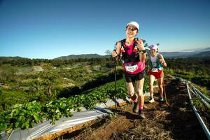 BIB: 9762
                            <button type="button" onclick="openModal(19115767)" class="btn btn-primary btn-sm float-right btn-popup" data-toggle="modal" data-target=".modal-high-quality">
                        <i class="fas fa-shopping-cart"></i> Add to Cart
                    </button>
                                            <button type="button" onclick="isThisMe(19115767, true)" class="btn btn-success btn-sm float-right btn-popup btn-isme hidden" data-toggle="tooltip" data-placement="bottom" title="นี่คือรูปของคุณใช่ไหม คลิกที่นี่เพื่อเอาเข้าอัลบั้ม">
                        <i class="fas fa-plus"></i> Add to album
                    </button>
                    <button type="button" onclick="isThisMe(19115767, false)" class="btn btn-warning btn-sm float-right btn-popup btn-isnotme hidden">
                        <i class="fas fa-ban"></i> Remove from album
                    </button>